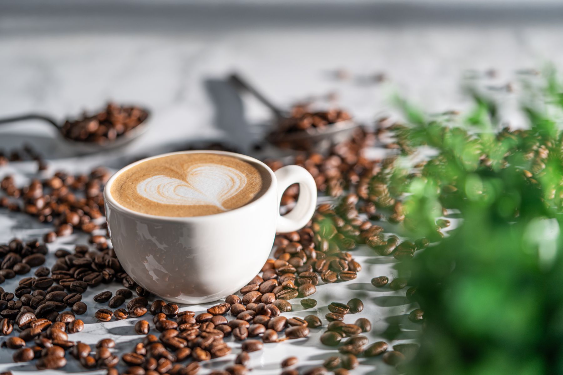 Eine Tasse Cappuccino mit einem Herzchenmotiv in der Milch steht auf einem Tisch auf dem verstreut geröstete Kaffeebohnen liegen.